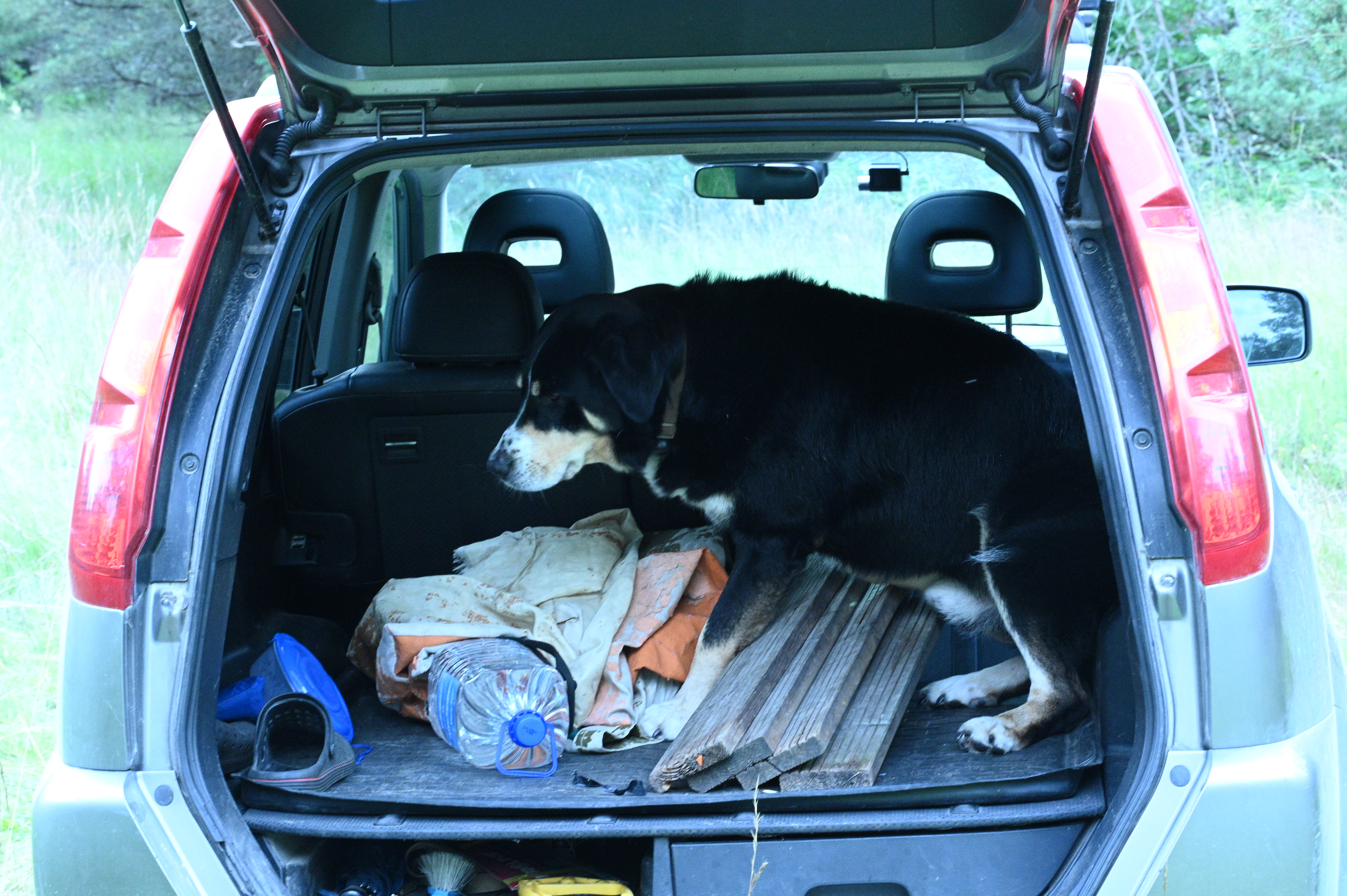 2025/07/09-14 - trip/DSC_0077.JPG